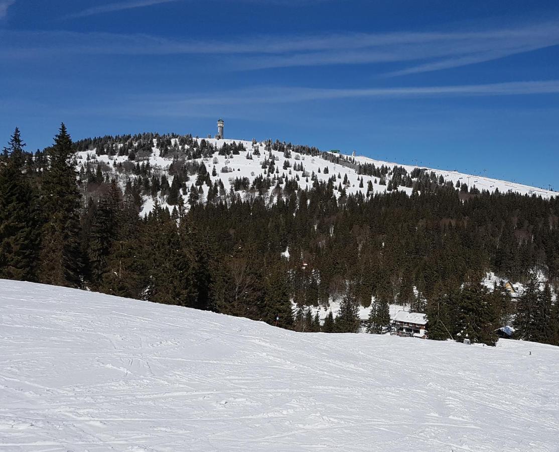 Enjoy Ferienwohnung Feldberg Grafenmatt Eksteriør billede