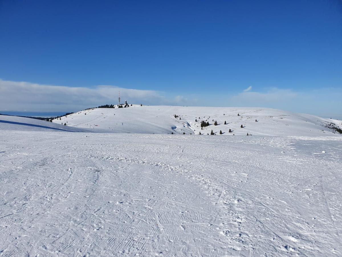 Enjoy Ferienwohnung Feldberg Grafenmatt Eksteriør billede
